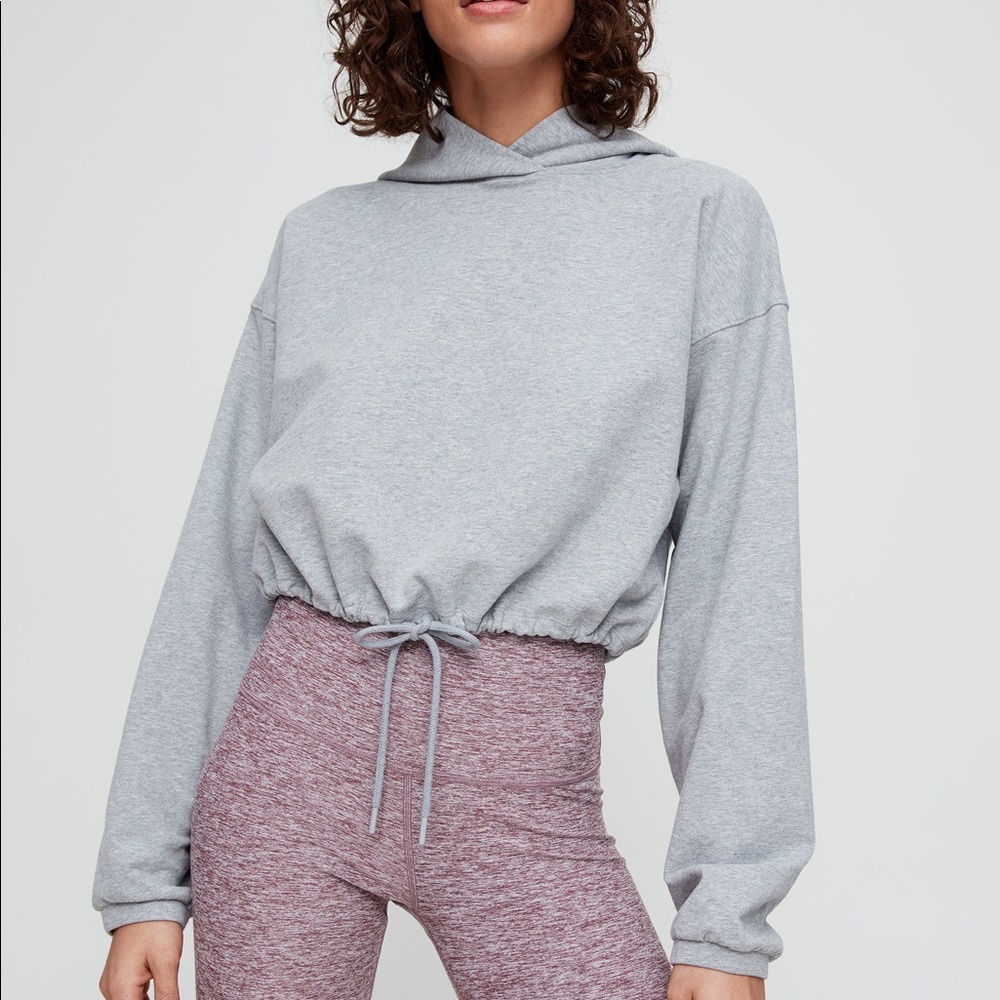 Grey the constant ola hoodie from aritzia